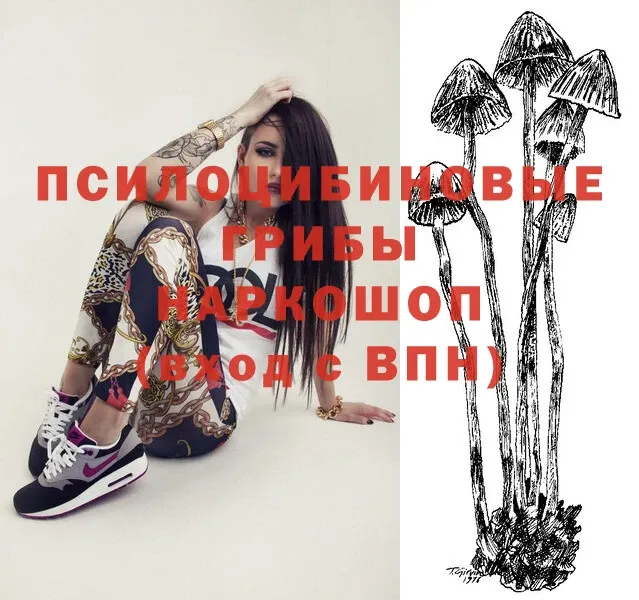 Псилоцибиновые грибы Magic Shrooms  Бирюч 